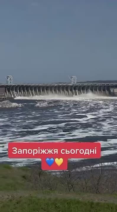 ����� ���������, �������� �������������� �������� �������