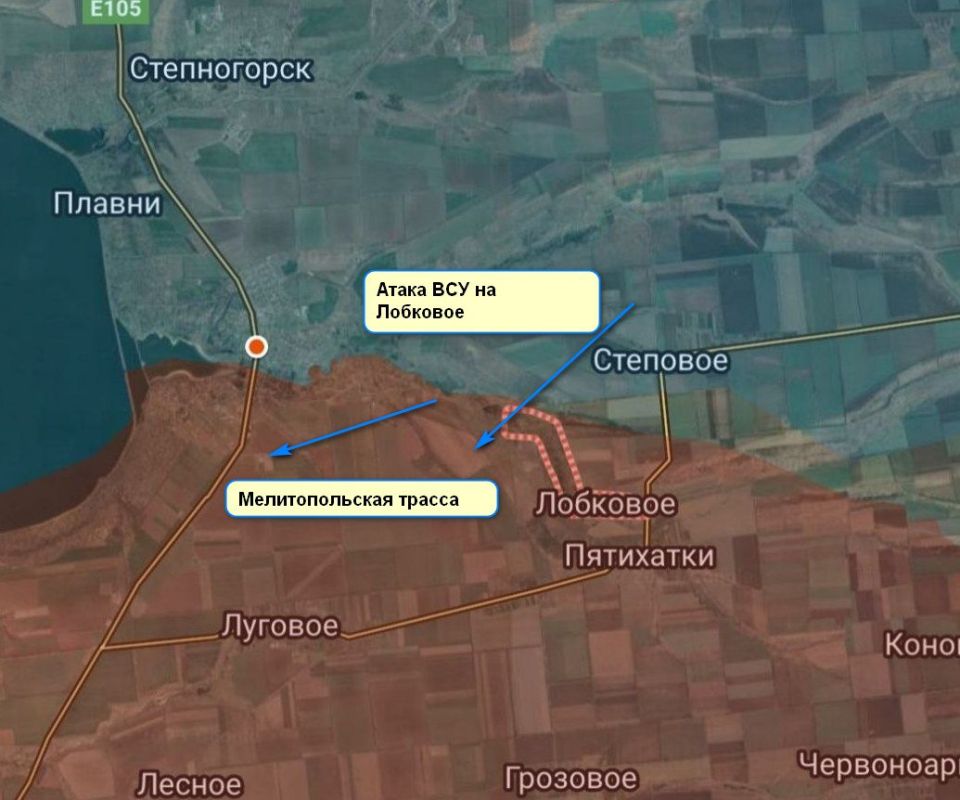 Евгений Лисицын: Вооруженные формирования украины активизировались на Запорожском направлении