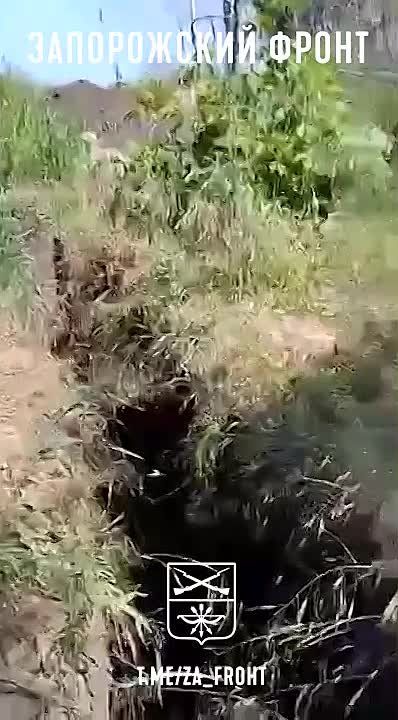 ������� �� �� ������� ������� ����� �� ������������ ���������� �� ����������� �����������