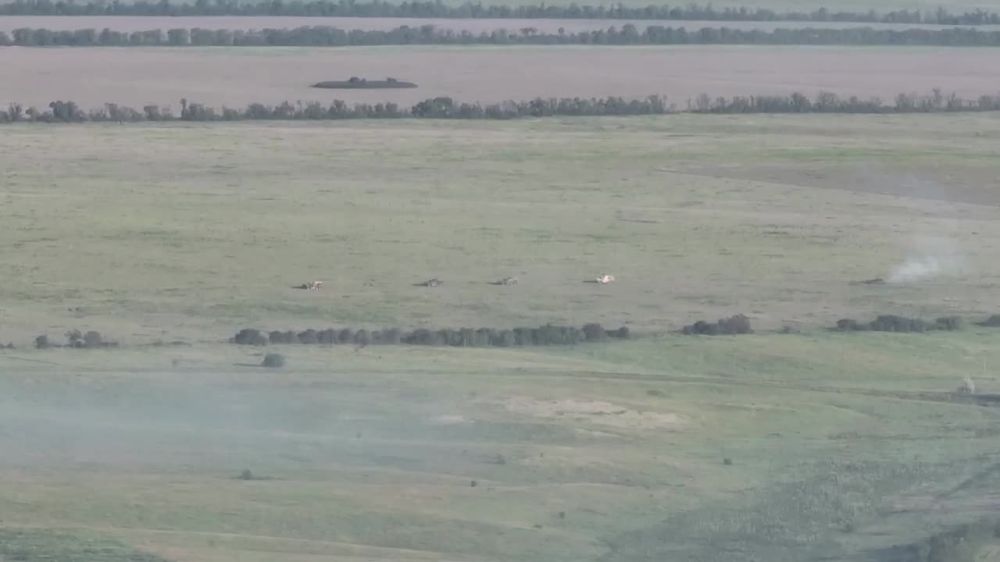 ����� �����: ����� ������� ���������� ������������ �� ����� �� ����� ���� � ����������� �������