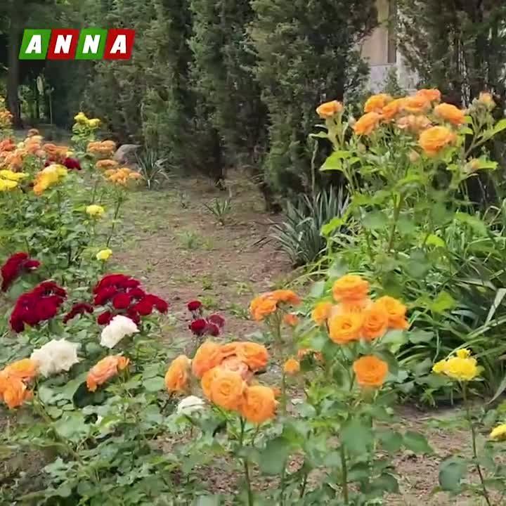 Исполняющий обязанности губернатора Херсонской области Владимир Сальдо посетил пункты временного размещения пострадавших от затопления