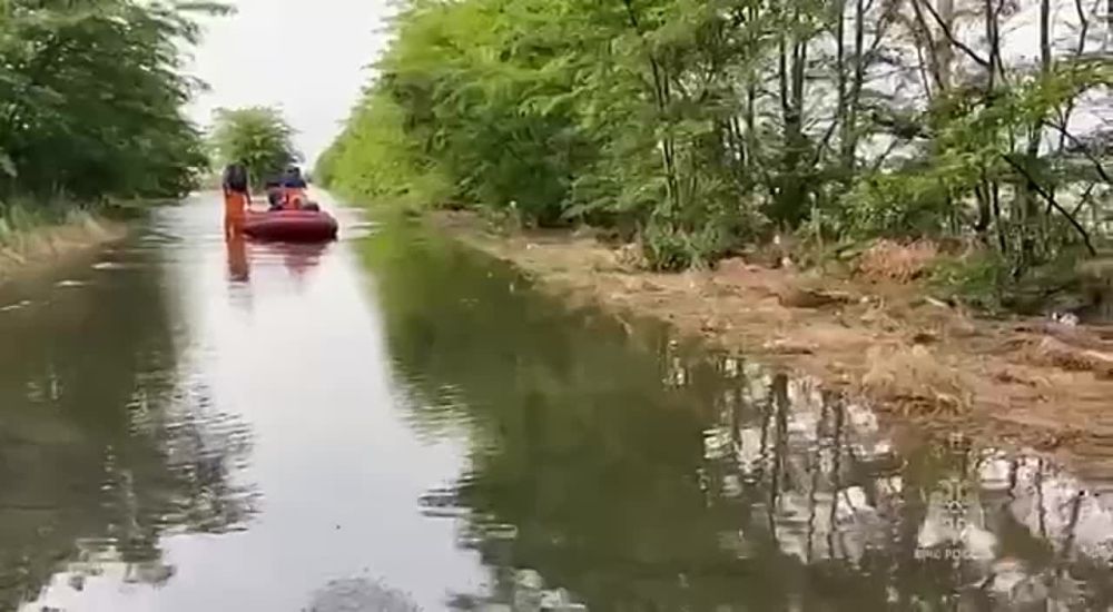 ������ ������: ��� �������� ����� ����� � ���������� ������� ����� ���������� �� ���