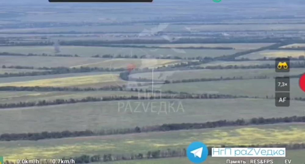 ����� �����: ����������� �����. ��������� ����� � ������