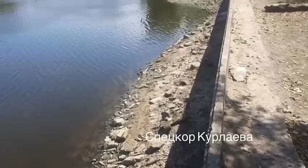 ����� ��������: � ���������� ������������ ������ ��������� ����, �� ������ � ��������� ��������������