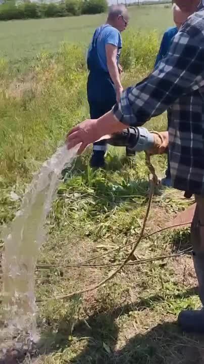 ����������� ������������������ ������� ������� ��������� ��������� �������������