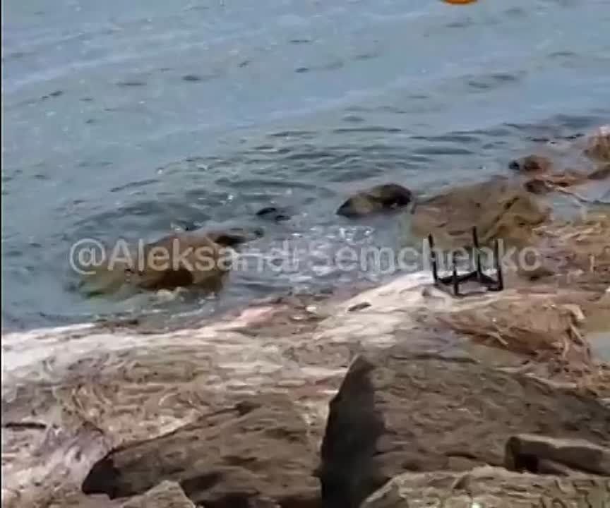������� ����� ����������� ���������� ���������� �������