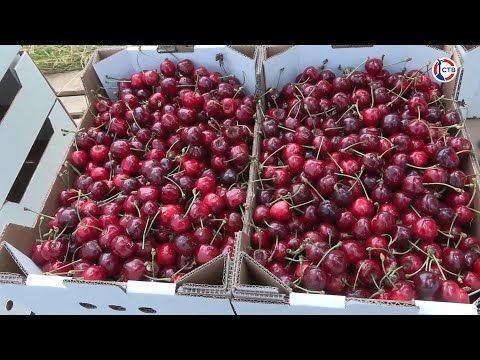 �� ������ ����������� ��������� ���������� �������������� �������