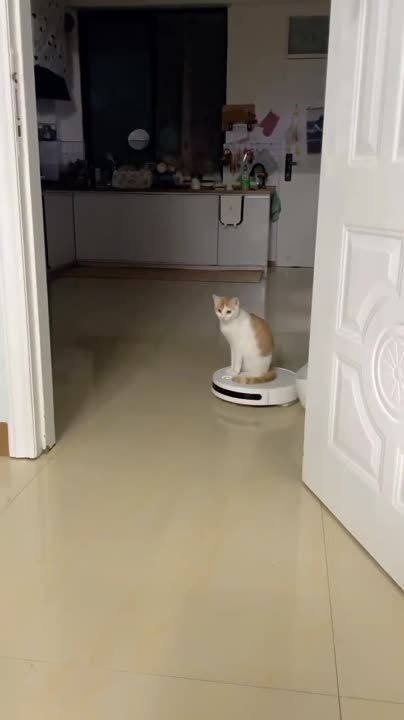 ��� ������ ����������� ����������