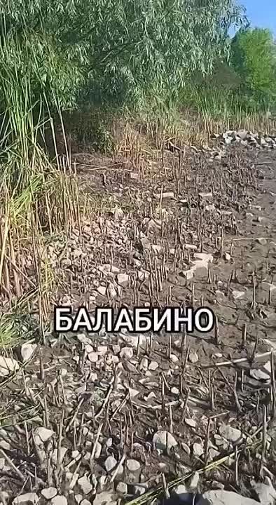 ����������� �����. ���� ���� ���������