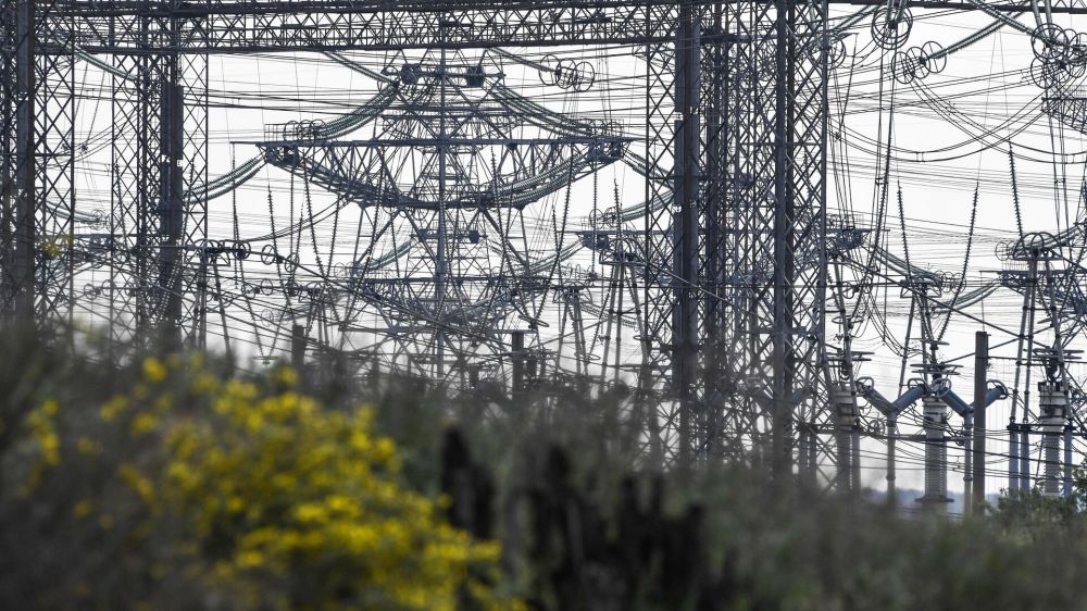 ������: ��� � ������ ������������ ����������� �� ���� ������ �� ��������� ����