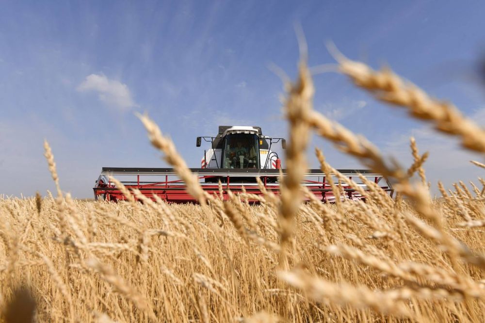 � ����������� ������� ��������� ������� � 2023 ���� 2-2,5 ��� ���� ��������