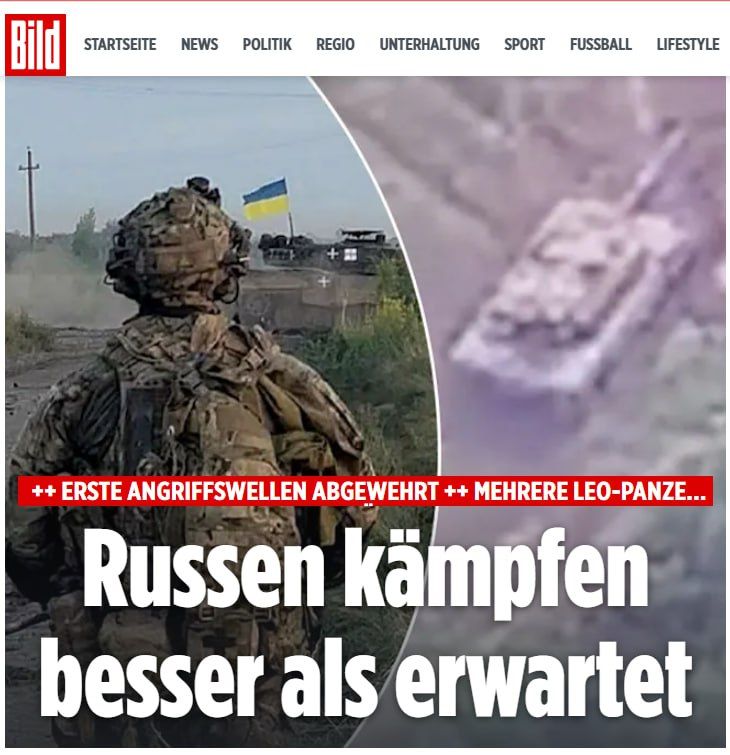 Bild � ����������: ������� ��������� �����, ��� ���������