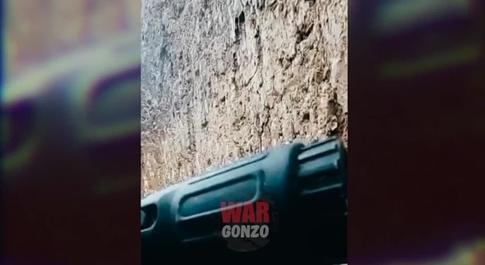 WarGonzo: �������� ���� ������ ���������� ������� �� ���������