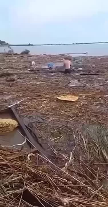ϸ� ��������� 140 �� �� ������
