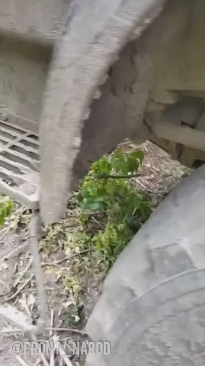 ��� ������������ ������. ������