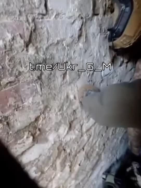 ��� ���������� ����� ������� ������������ ������ �� ���� �������!