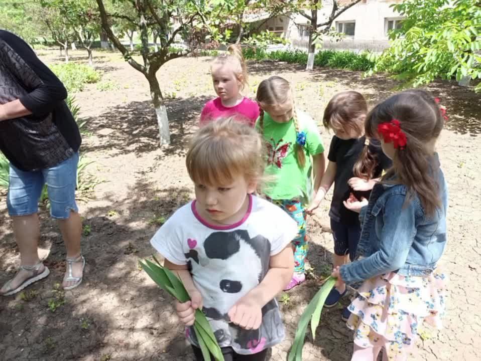9 ���� � ����������� ������ " �������" ��������� �� �29 �������� ������������� ���� ������