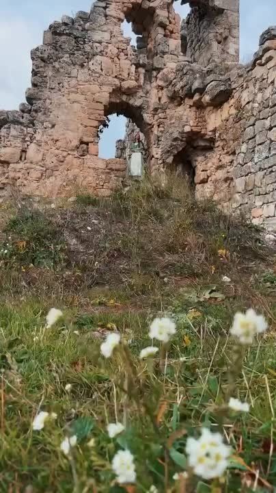 �������� �����, ������ ������� � ������� ������� ������-����