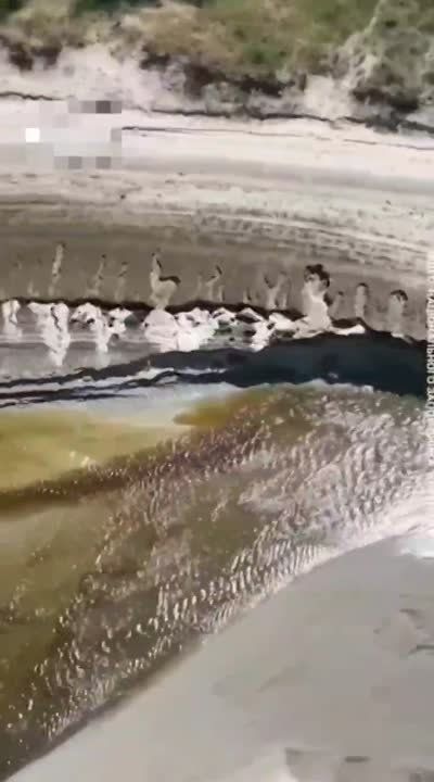 ���������� �� ����� ����������