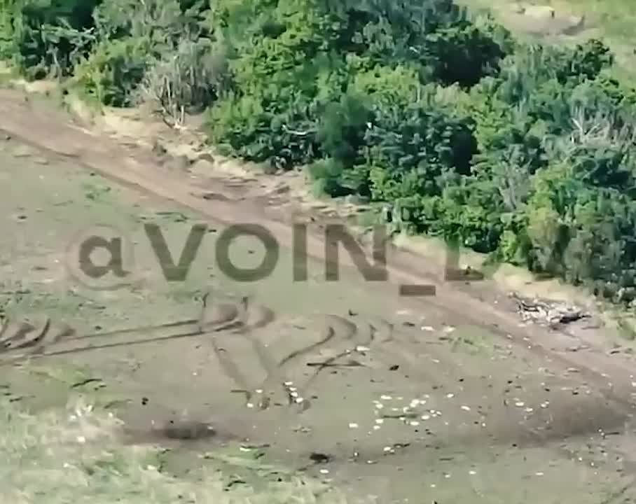WarGonzo: ��� FPV-����� �������� ���������� ����������� �� ���������