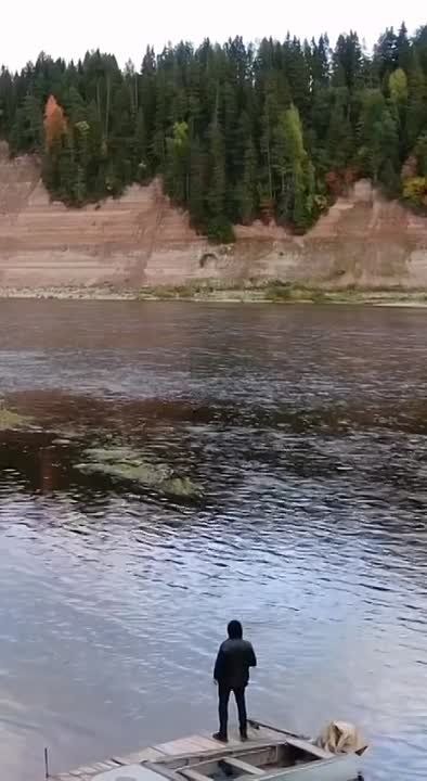 ������������� ������ �� ���� ������