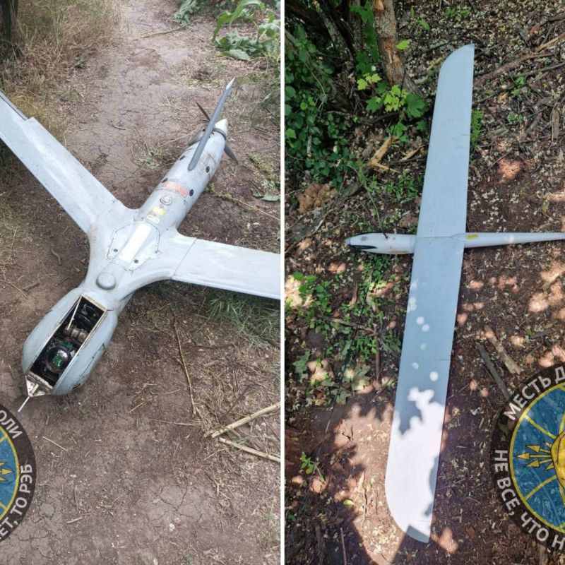 ���������������� ������������ Boeing Insitu ScanEagle ������������� � SkyEye ��������� ������������ �������� ���������� ���������������� ������ �� ����������� �����������