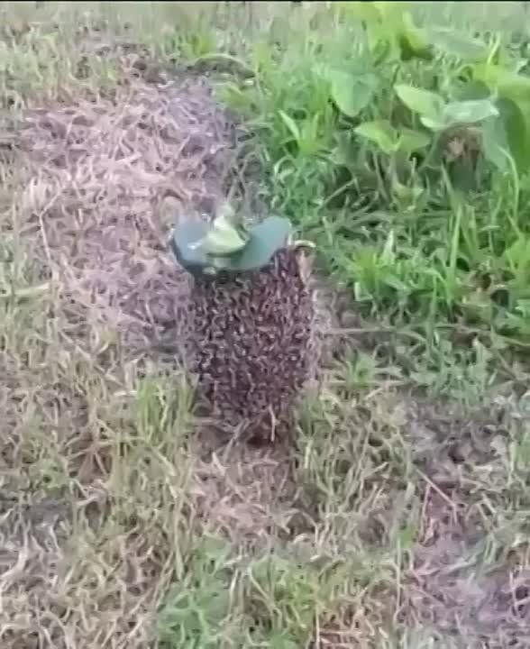 ���������� ������� �������� � ������������ ���� �����, �� ������� � �������� �������� ���� ���������