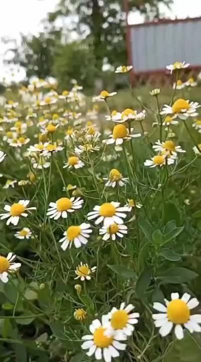 #�����_��_����������. �������������� ����� �� ����� ���������� ���������!