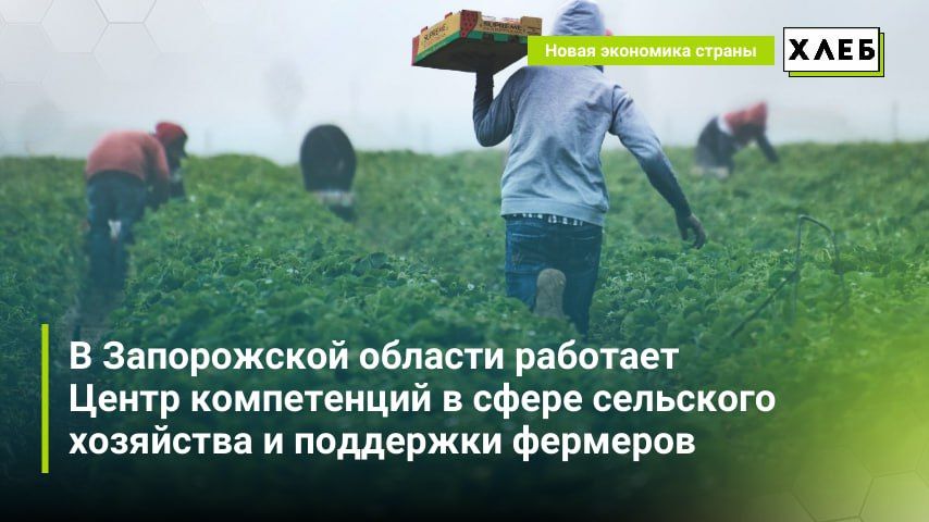 � ����������� ������� �������� ����� ����������� � ����� ��������� ��������� � ��������� ��������