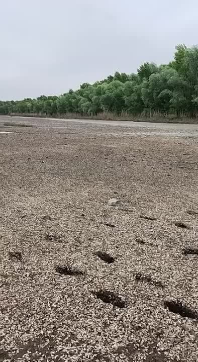 ����� ��������: ����������� ����� � ����������� �������