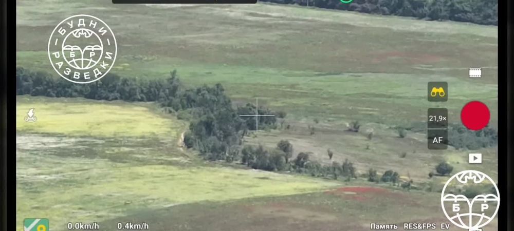 ���� �������� ���������� ���� ����� ���������� �����������, �� ���������� ����������� ��������� �� ������� ������, ��� ��������� ��� ���������������� �����