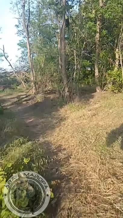 ����������� �����, ���������� �����������
