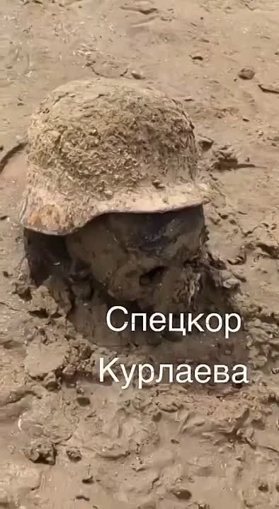 ��� �� �� ����.. ��� ��������� ����� ����� ���� ���������� �������. ���������������� �������� ������