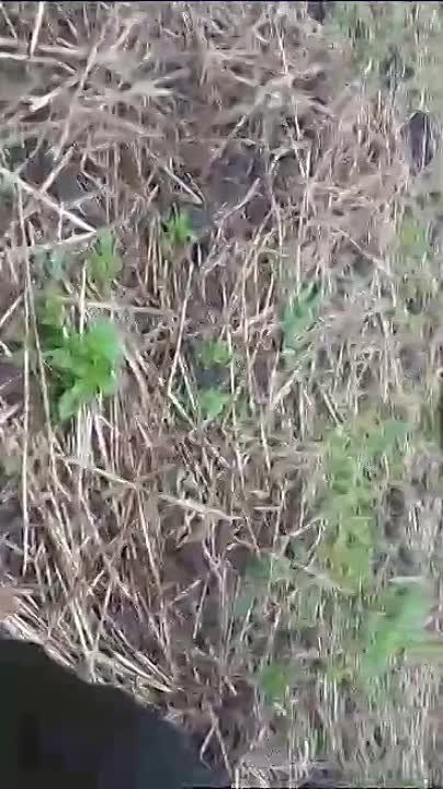 ���������� �� �����������, ��� ����� ������������� ����������� ���������������� �������� ����� �������� � ��� ������� ������������ ��� �� ����������� �����������