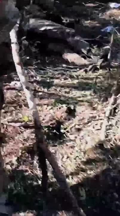 ������ �������: ��������� ����� ��������������� ���������� "���������� ������������" �� ����������� �����������