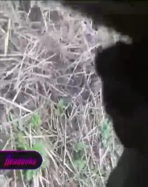 ����� ��������� �������� ������� �������, ���������������� ������ �� ����������� �����������