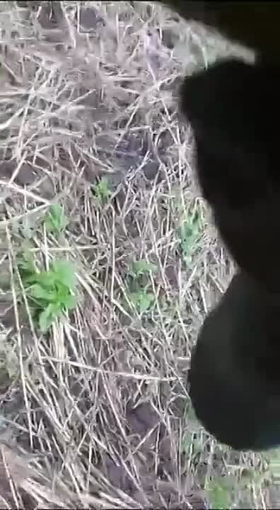 ������ �������: � ����� ����. ������������ �������� � ��������� ���� Leopard 2A6 ��������� ������������ � 2 ��� �2�2 Bradley ODS-SA ������������� ������������ �� ����������� �����������