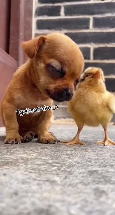������ ����!