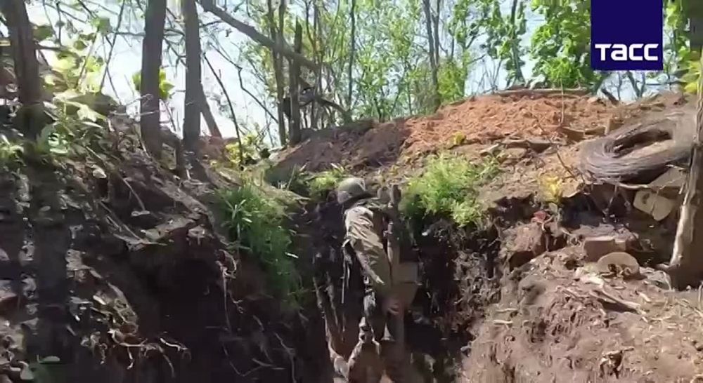 ������ ������ ��������������� ������������� ���������� �������� ������ �� ����������� ���������� � ������ ����������� ������� �� ����������� �����������