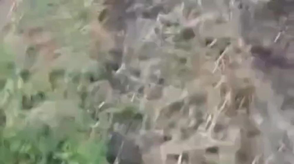 �������� �����: �������� �������� ��� �� ��� ������� ����, ��� ��� ������
