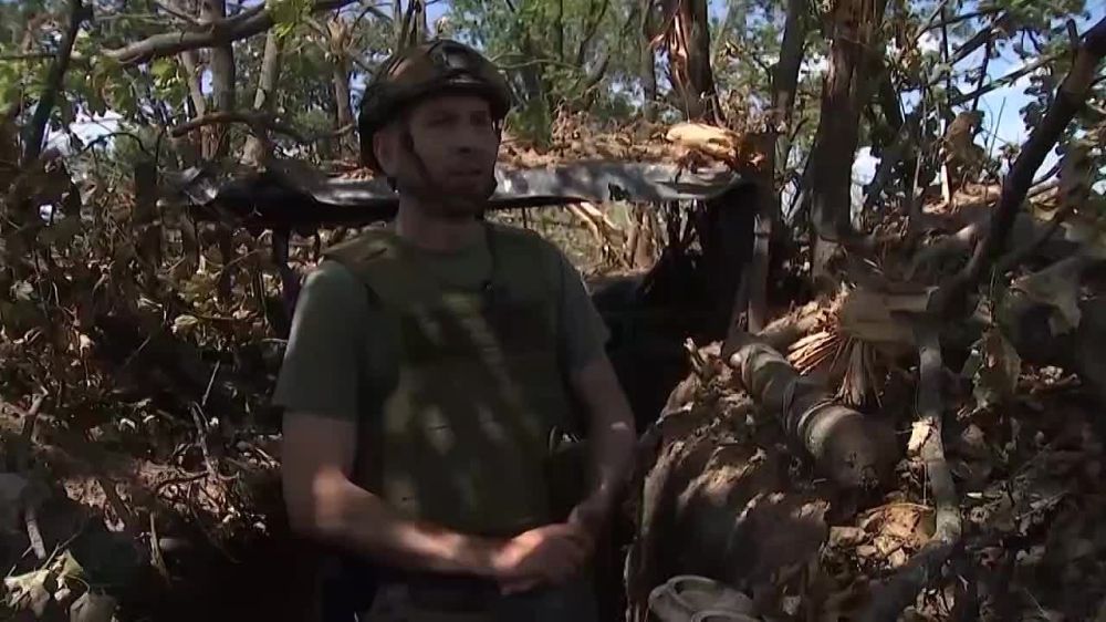 ����� �����: ����������� �����������