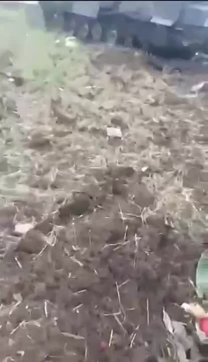 ���� ��������: ����������� ����������� - ���� �������