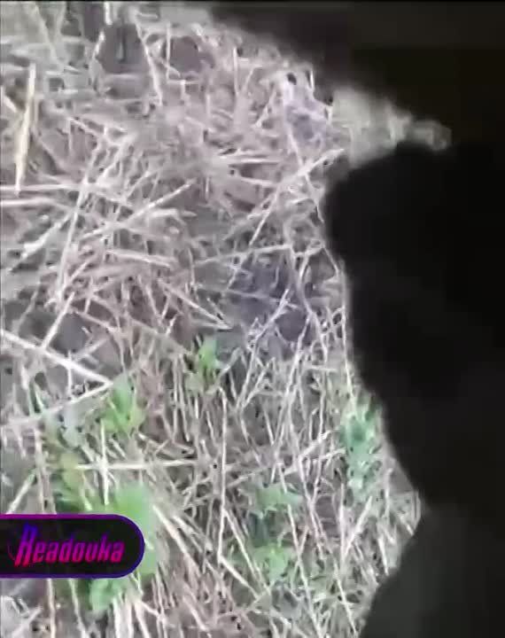 ������� ������� ��������, ����������������, �� ����� �������� �������� ������� �� ����������� �����������