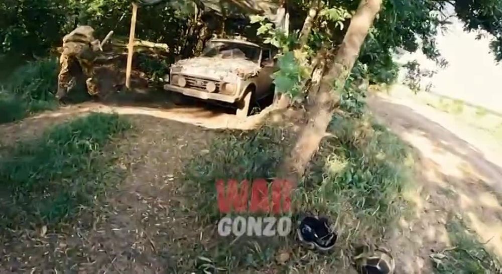 WarGonzo: �������������� ��������� �� ������� ����