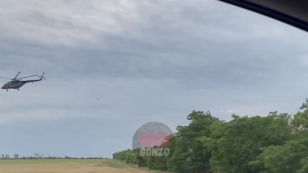 WarGonzo: ������������ ������ ���� �� ���������