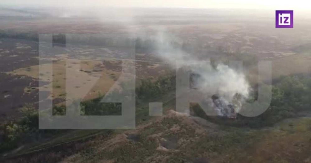 ������ � "���������": ��� "��������" ������������ ��� ��� ����������