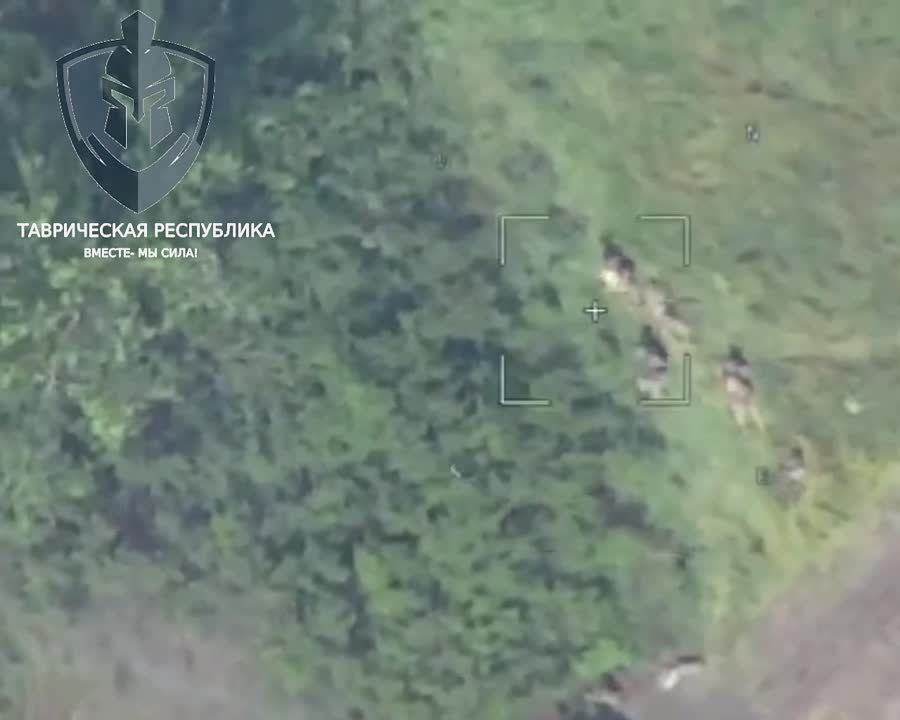 ����� ���� ��� �� ������� ��� ��� ������� ���.���� �� ����������� �����������, ���� ����� ������� � ������ ����