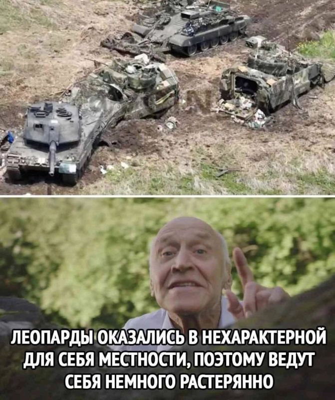 "� ���� ��������". ����� ������������� ����� � ����������� �������