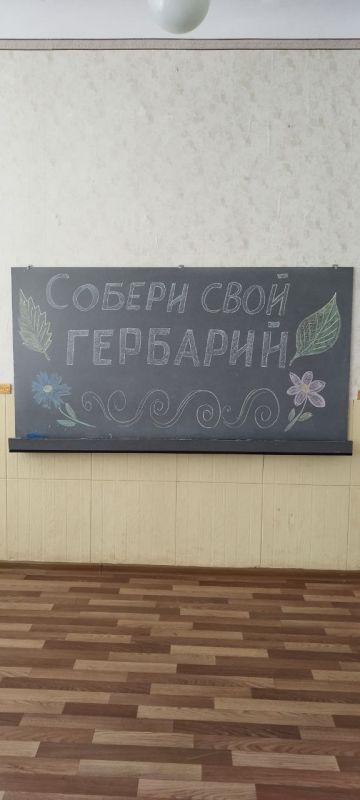 15 ���� ������������ ������������ ������ ������� ��� �� ���������������� ��� � 46� ������� ������� � �������� ������� ���� ��������