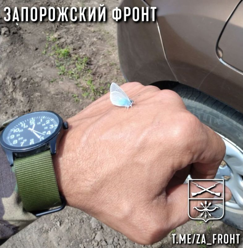 ���� ������� ���� � ������������ �����������
